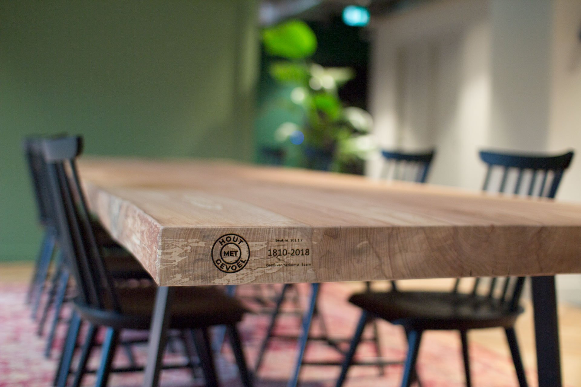 Close up boomstamtafel Hout met gevoel